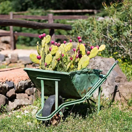 Ecoparco Neule Feriegård Dorgali