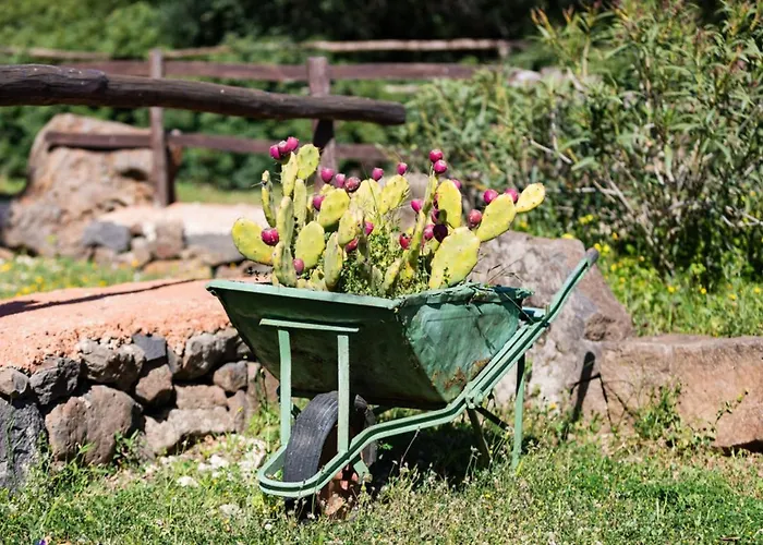 Ecoparco Neule Farmház Dorgali